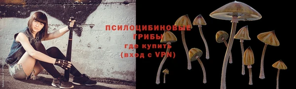 таблы Алзамай