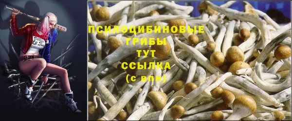 таблы Алзамай