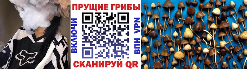 мега сайт Аткарск Галлюциногенные грибы MAGIC MUSHROOMS shop наркотические препараты где купить наркоту